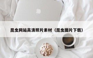 永春昆虫网站高清照片素材（昆虫图片下载）
